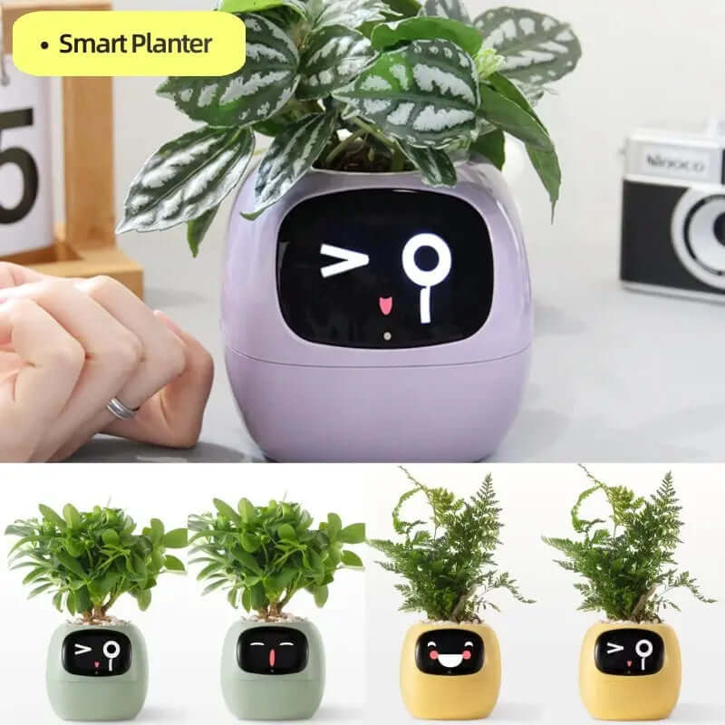 Smart Planter Endless Fun Over 49 Rich Expressions 7 Smart Sensors And AI Chips Make Raising Plants Easy And Fun TrendyDwelling